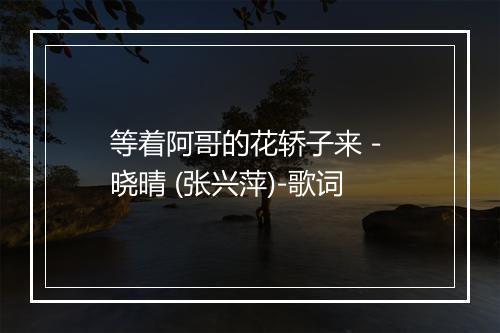 等着阿哥的花轿子来 - 晓晴 (张兴萍)-歌词