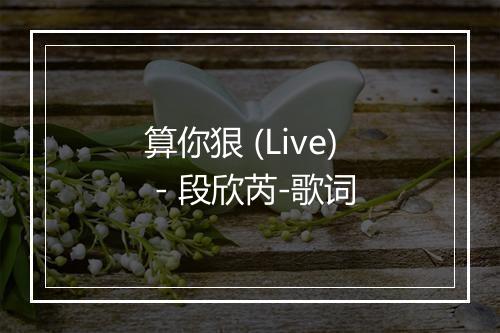 算你狠 (Live) - 段欣芮-歌词