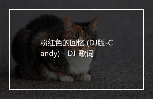 粉红色的回忆 (DJ版-Candy) - DJ-歌词