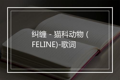 纠缠 - 猫科动物 (FELINE)-歌词