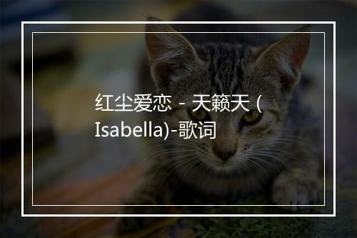 红尘爱恋 - 天籁天 (Isabella)-歌词