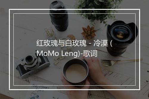 红玫瑰与白玫瑰 - 冷漠 (MoMo Leng)-歌词