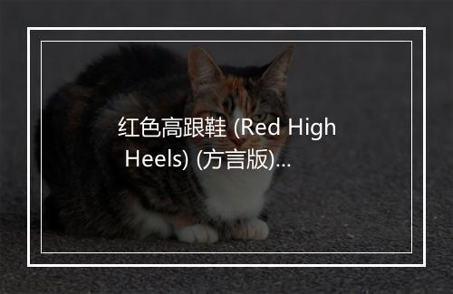 红色高跟鞋 (Red High Heels) (方言版) - 赵小臭-歌词