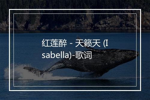 红莲醉 - 天籁天 (Isabella)-歌词