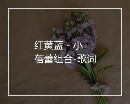 红黄蓝 - 小蓓蕾组合-歌词