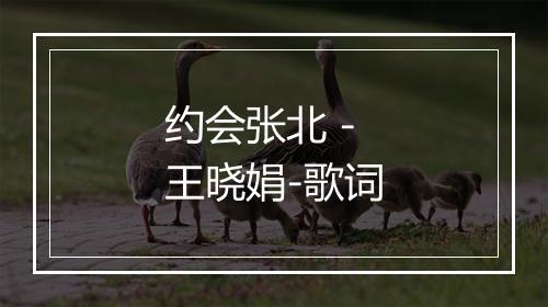 约会张北 - 王晓娟-歌词