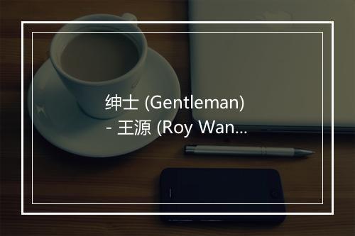 绅士 (Gentleman) - 王源 (Roy Wang)-歌词