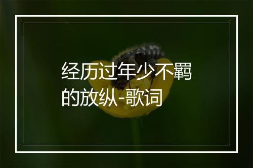 经历过年少不羁的放纵-歌词