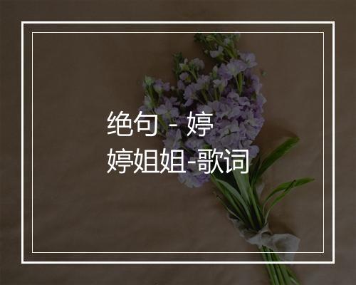 绝句 - 婷婷姐姐-歌词