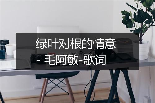 绿叶对根的情意 - 毛阿敏-歌词