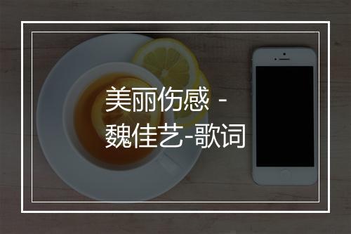 美丽伤感 - 魏佳艺-歌词