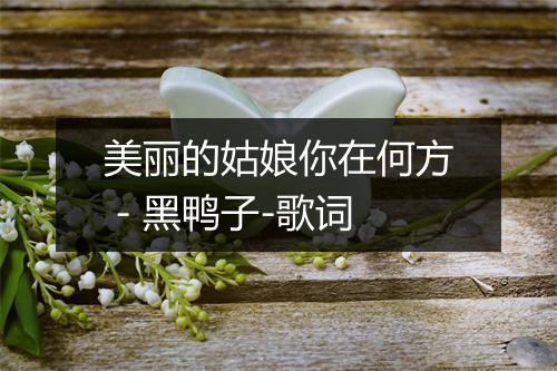 美丽的姑娘你在何方 - 黑鸭子-歌词