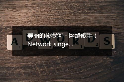 美丽的梭罗河 - 网络歌手 (Network singer)-歌词