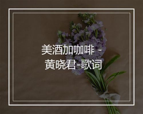 美酒加咖啡 - 黄晓君-歌词