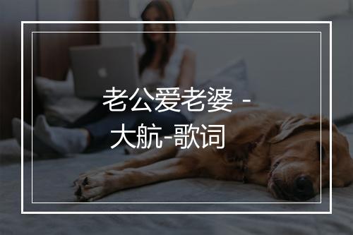 老公爱老婆 - 大航-歌词