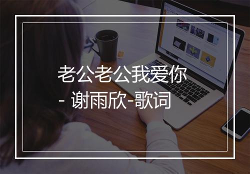 老公老公我爱你 - 谢雨欣-歌词