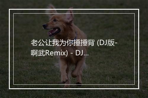 老公让我为你捶捶背 (DJ版-啊武Remix) - DJ-歌词