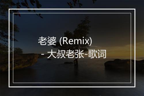 老婆 (Remix) - 大叔老张-歌词