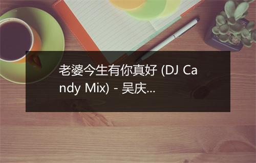 老婆今生有你真好 (DJ Candy Mix) - 吴庆国-歌词