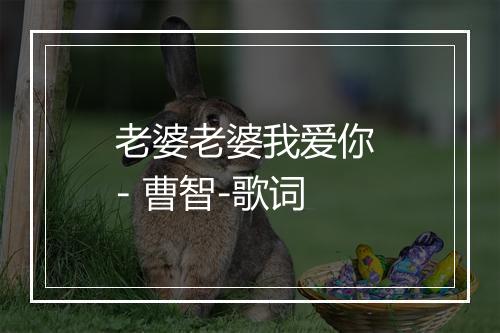 老婆老婆我爱你 - 曹智-歌词