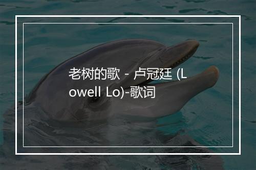 老树的歌 - 卢冠廷 (Lowell Lo)-歌词