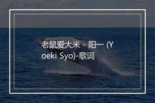 老鼠爱大米 - 阳一 (Yoeki Syo)-歌词