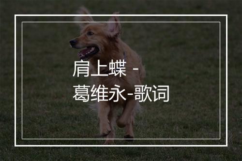 肩上蝶 - 葛维永-歌词