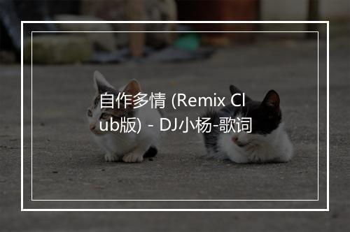 自作多情 (Remix Club版) - DJ小杨-歌词