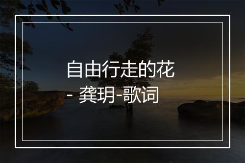 自由行走的花 - 龚玥-歌词