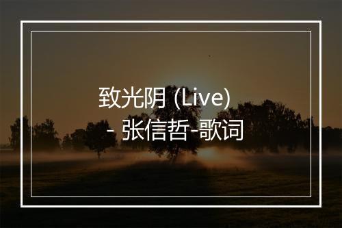 致光阴 (Live) - 张信哲-歌词