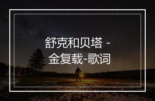 舒克和贝塔 - 金复载-歌词