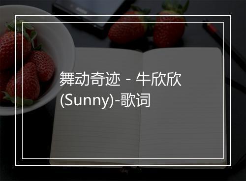 舞动奇迹 - 牛欣欣 (Sunny)-歌词