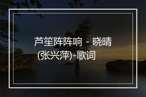 芦笙阵阵响 - 晓晴 (张兴萍)-歌词