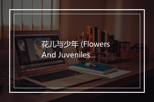 花儿与少年 (Flowers And Juveniles) - 董文华-歌词