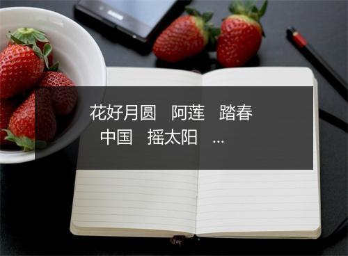 花好月圆   阿莲   踏春   中国   摇太阳   走四方   祝你平安   双双飞   九月九的酒   一生离不开的是你   我听过你的歌   爱的港湾 