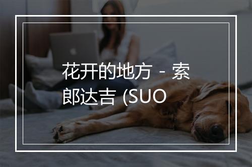 花开的地方 - 索郎达吉 (SUO