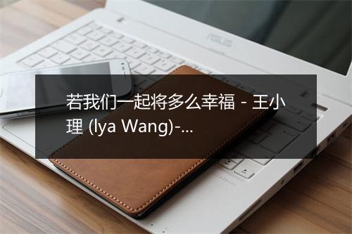 若我们一起将多么幸福 - 王小理 (lya Wang)-歌词