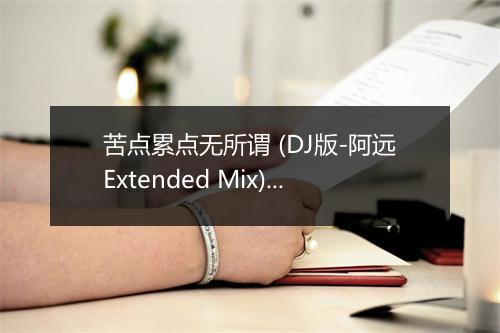 苦点累点无所谓 (DJ版-阿远Extended Mix) - DJ-歌词