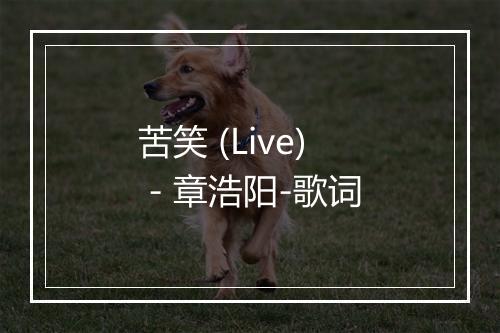 苦笑 (Live) - 章浩阳-歌词