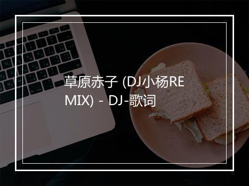 草原赤子 (DJ小杨REMIX) - DJ-歌词