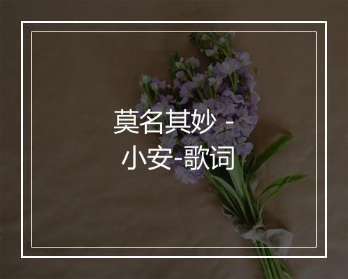 莫名其妙 - 小安-歌词