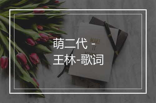 萌二代 - 王林-歌词