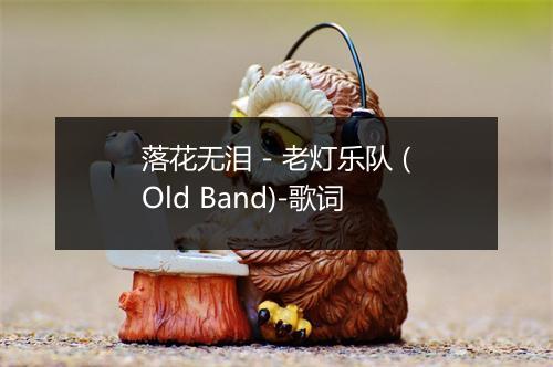 落花无泪 - 老灯乐队 (Old Band)-歌词