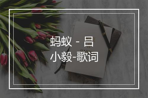 蚂蚁 - 吕小毅-歌词