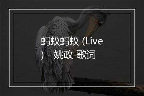 蚂蚁蚂蚁 (Live) - 姚政-歌词