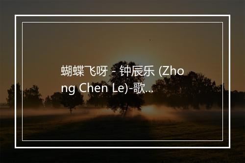 蝴蝶飞呀 - 钟辰乐 (Zhong Chen Le)-歌词