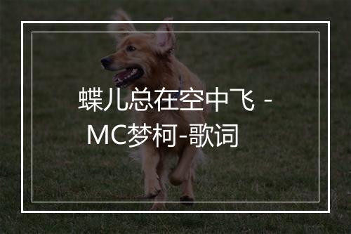 蝶儿总在空中飞 - MC梦柯-歌词