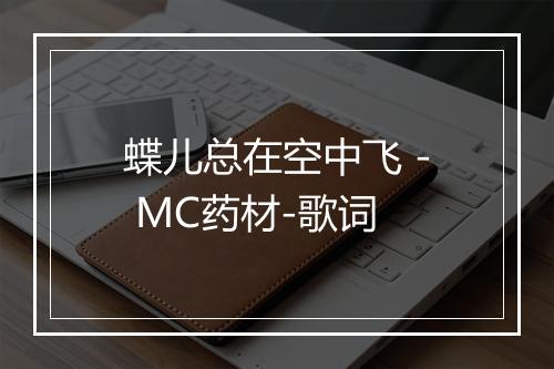 蝶儿总在空中飞 - MC药材-歌词