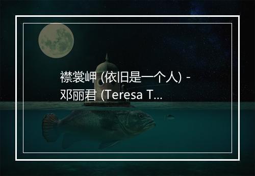 襟裳岬 (依旧是一个人) - 邓丽君 (Teresa Teng)-歌词