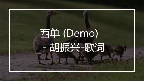 西单 (Demo) - 胡振兴-歌词